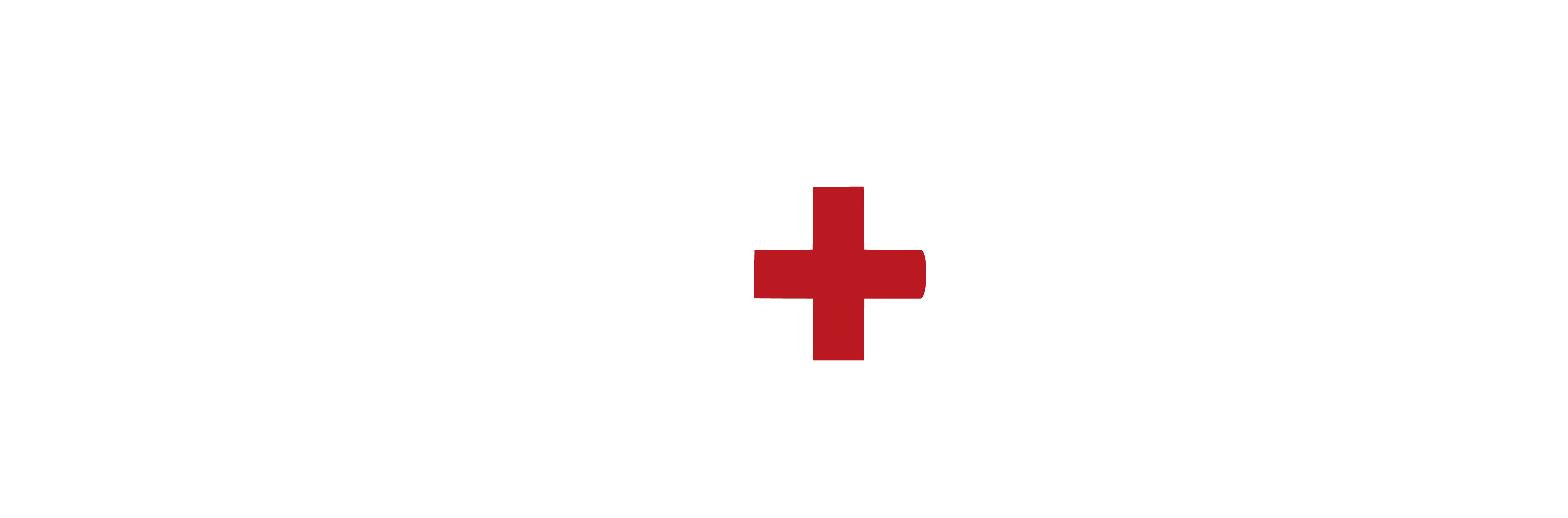 Cari Plus footer logosu