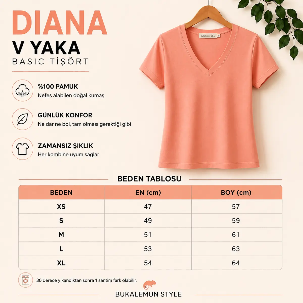 DIANA - somon